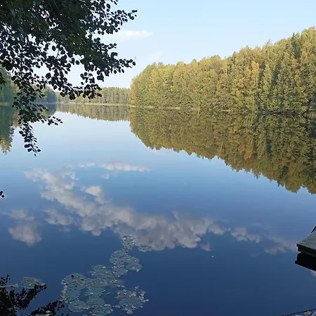 Jaervenrantamoekki Orivedellae, Palju, Grillikota Viitapohja